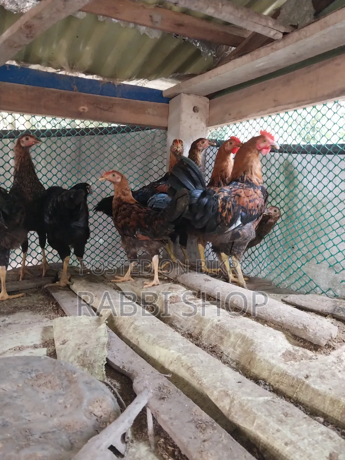 Deshi Chicken