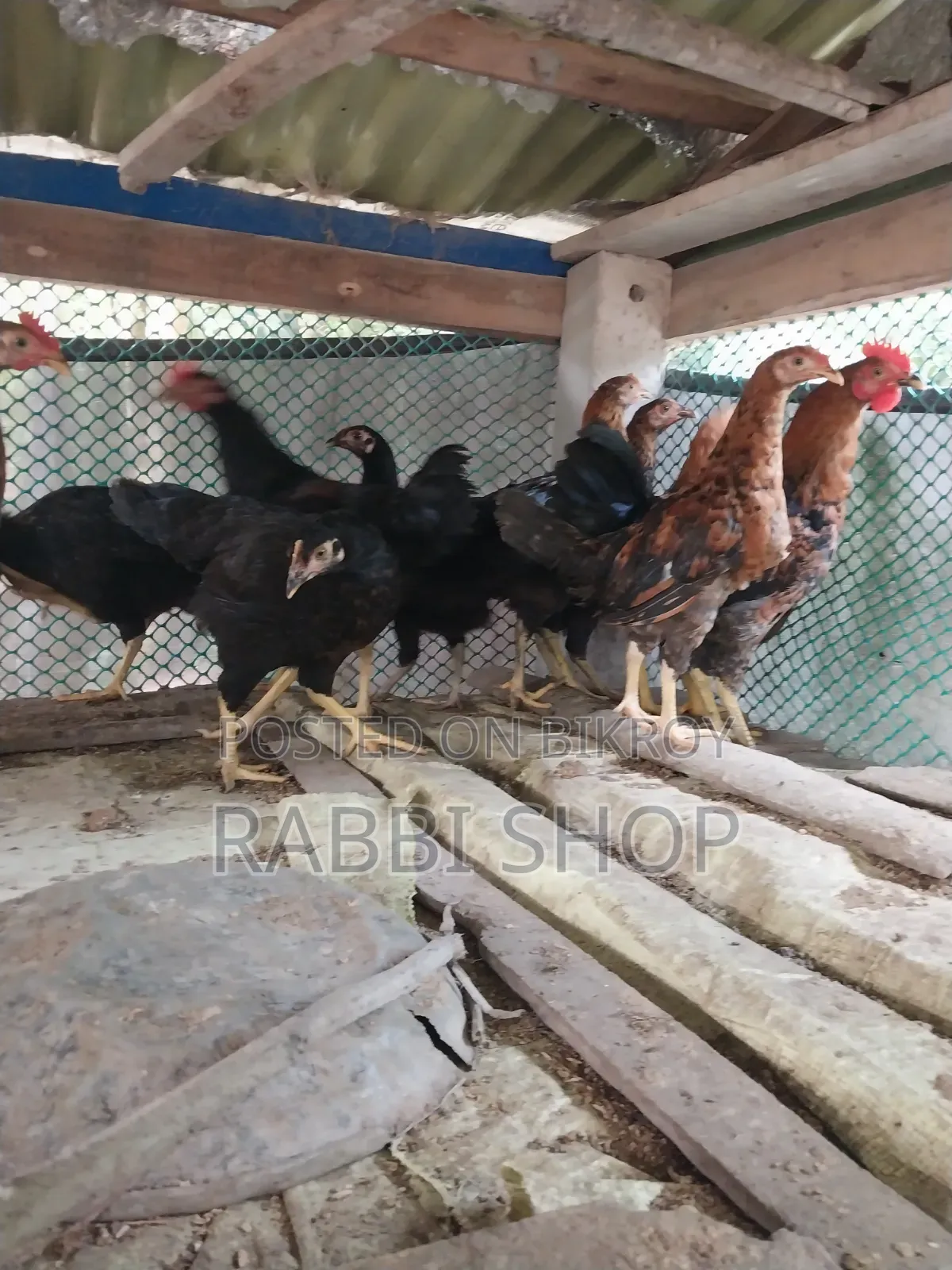 Deshi Chicken
