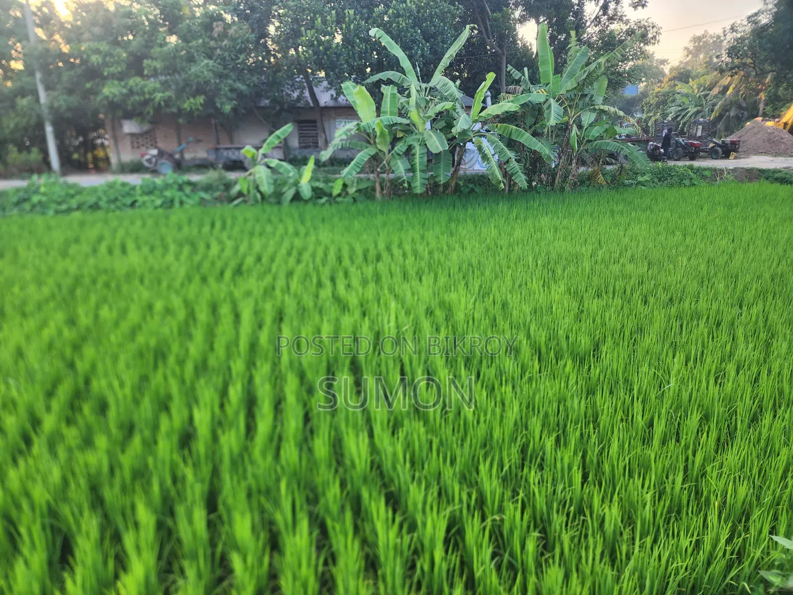 রিসোর্ট ও বিনোদন পার্ক করার মত উপযুক্ত জায়গা বিক্রয় হবে