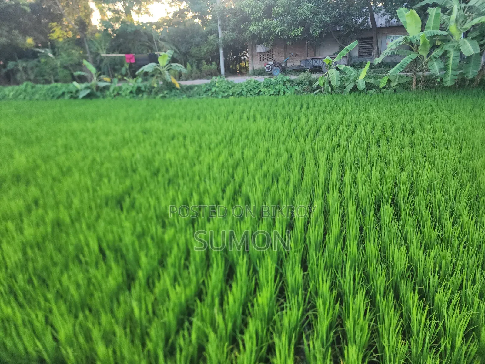 রিসোর্ট ও বিনোদন পার্ক করার মত উপযুক্ত জায়গা বিক্রয় হবে