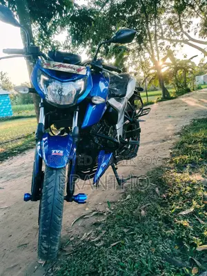 টিভিএস অ্যাপাচি আরটিআর ১৬০ ৪ভি ২০১৯ নীল