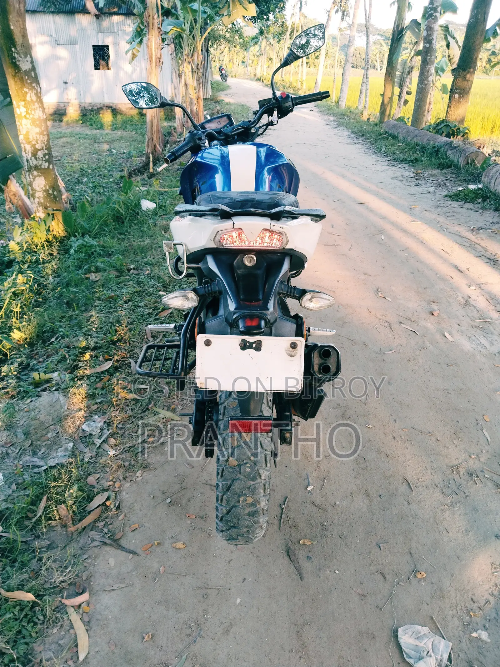 টিভিএস অ্যাপাচি আরটিআর ১৬০ ৪ভি ২০১৯ নীল