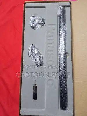 প্যানাসনিক বুম মাইক্রোফোন