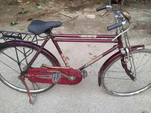 ইন্ডিয়ান হিরো ওভার সাইকেল