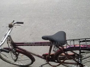 ইন্ডিয়ান হিরো ওভার সাইকেল