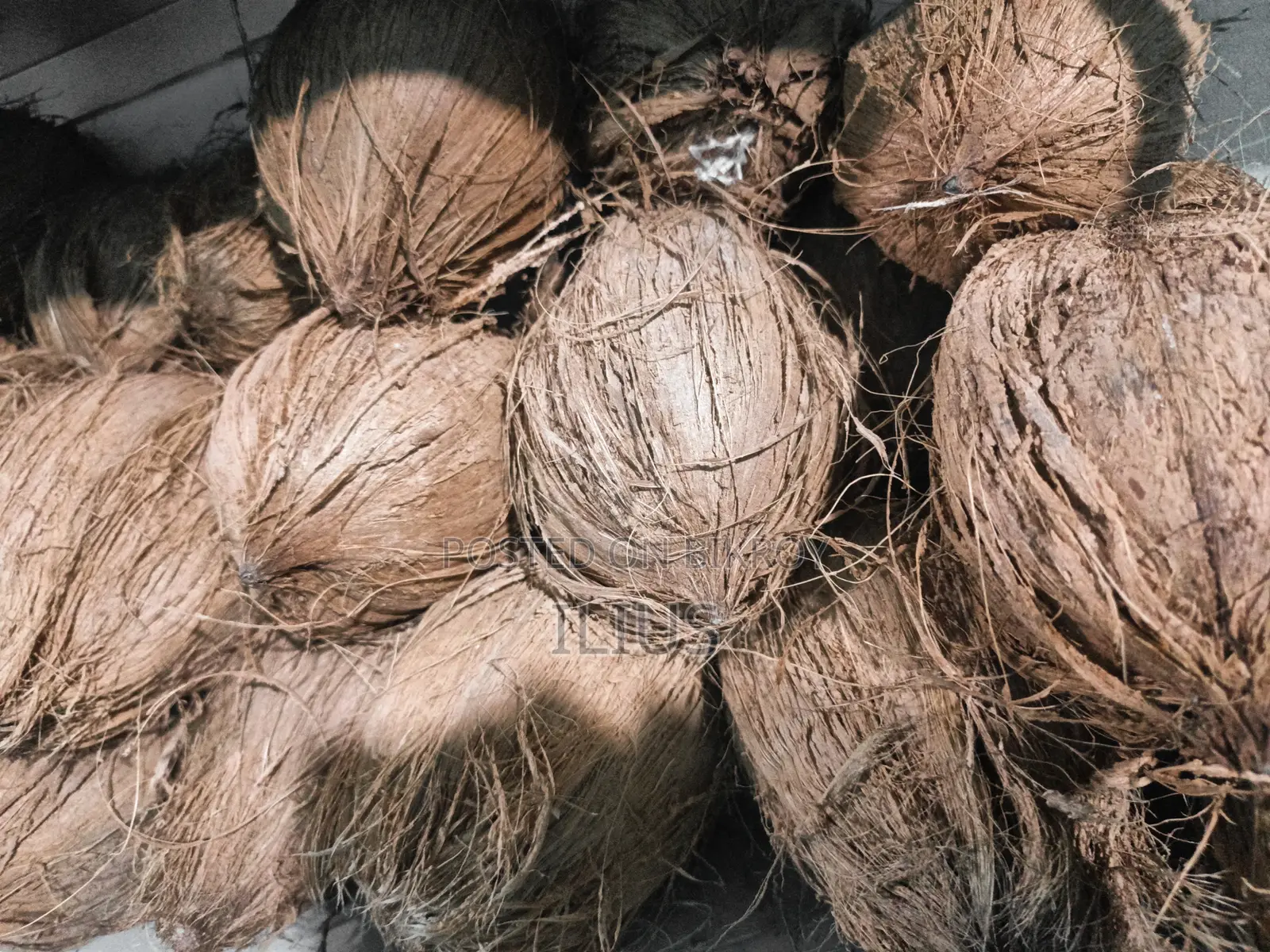 Dry coconut