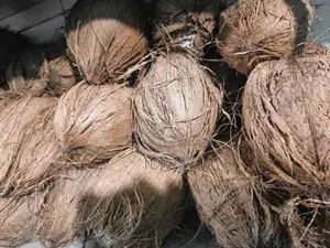 Dry coconut