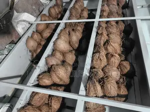 Dry coconut