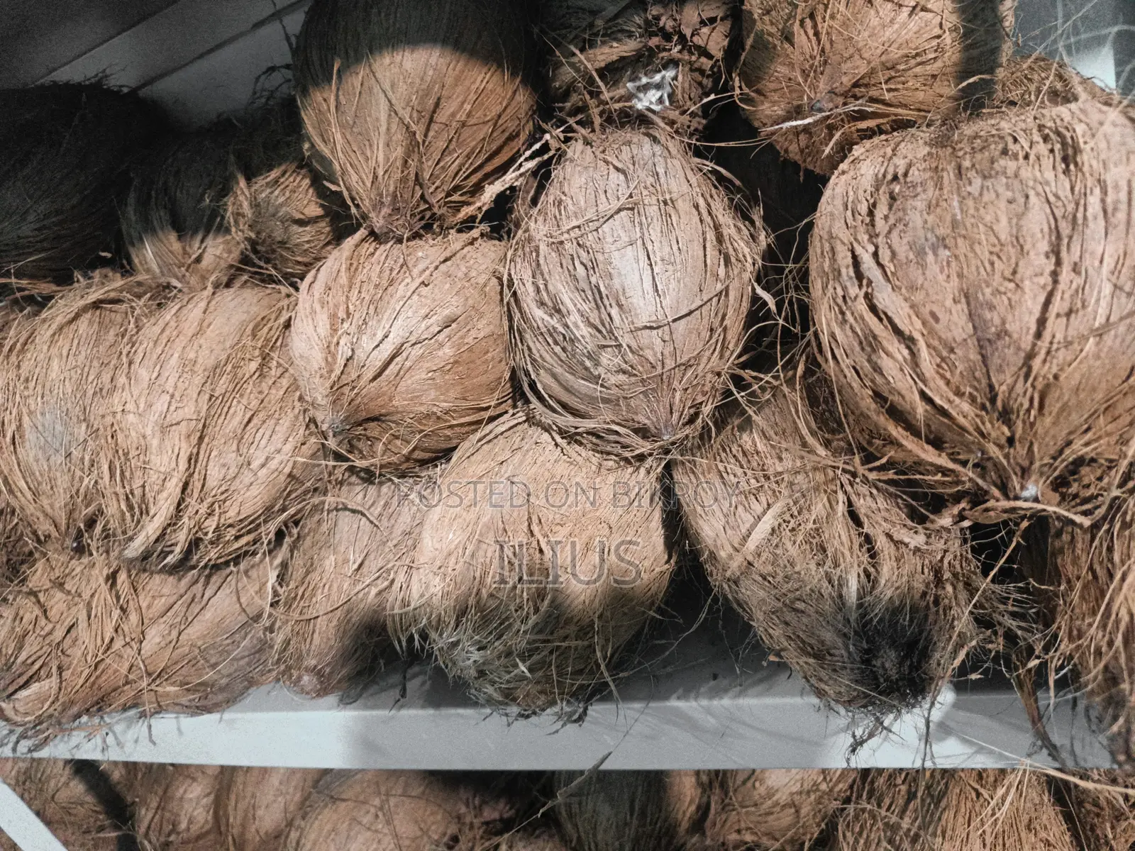 Dry coconut