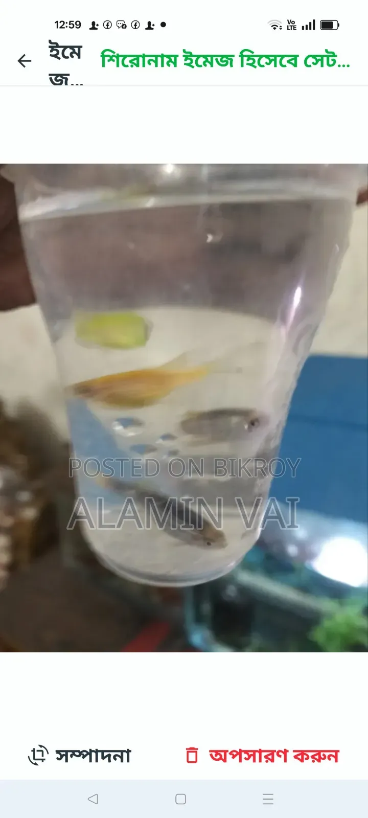জিরা ফিশ ব্রিডিং পেয়ার ২০ জোড়া আছে