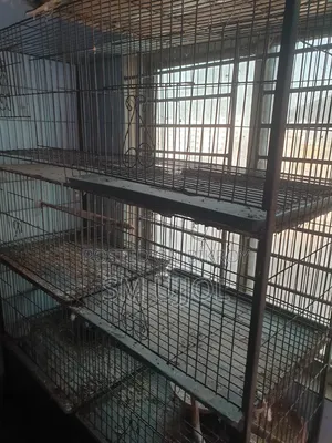 Bird Cage