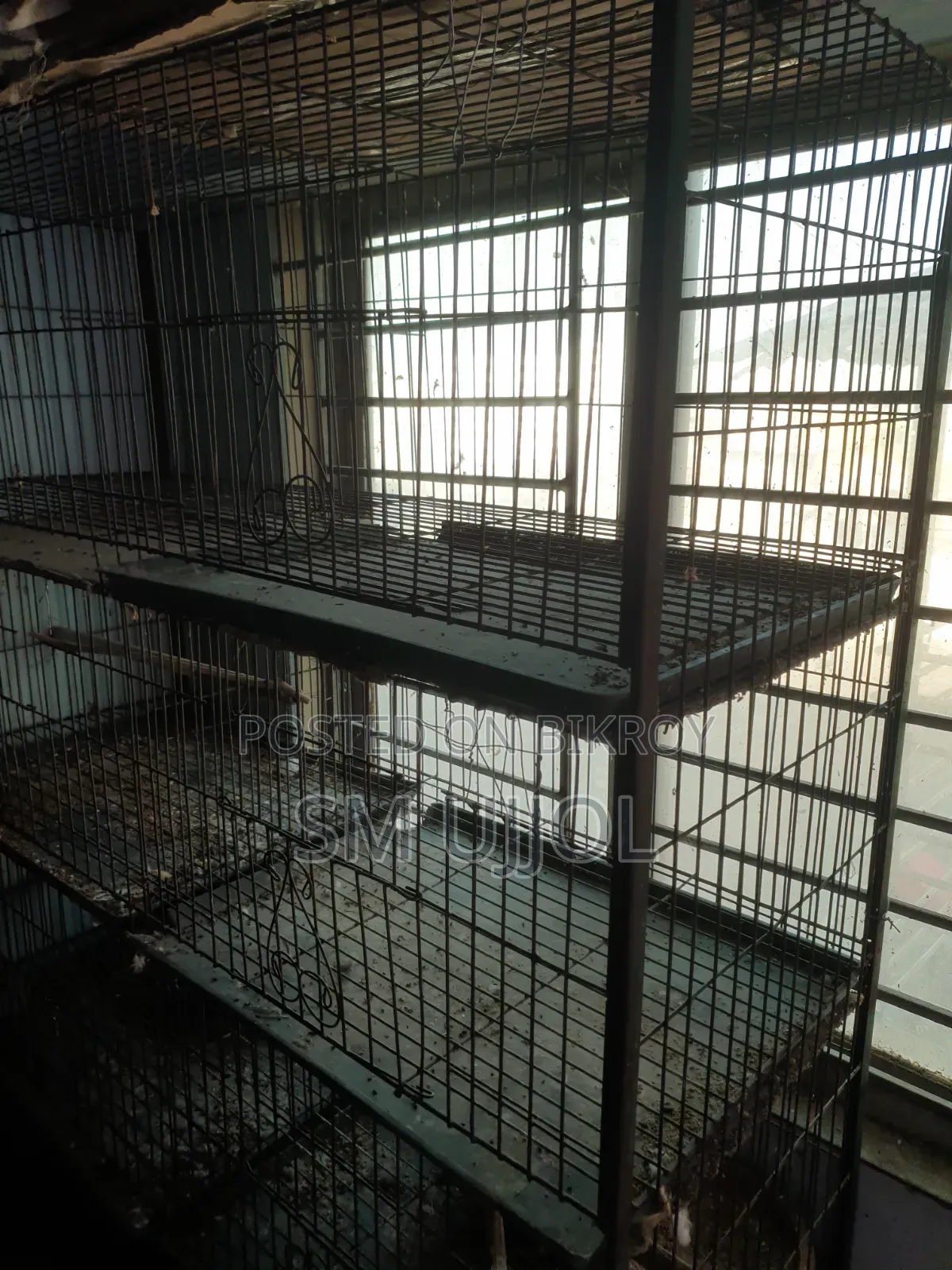Bird Cage
