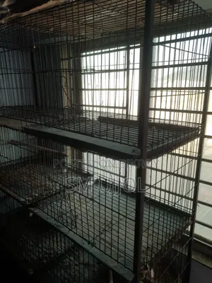 Bird Cage