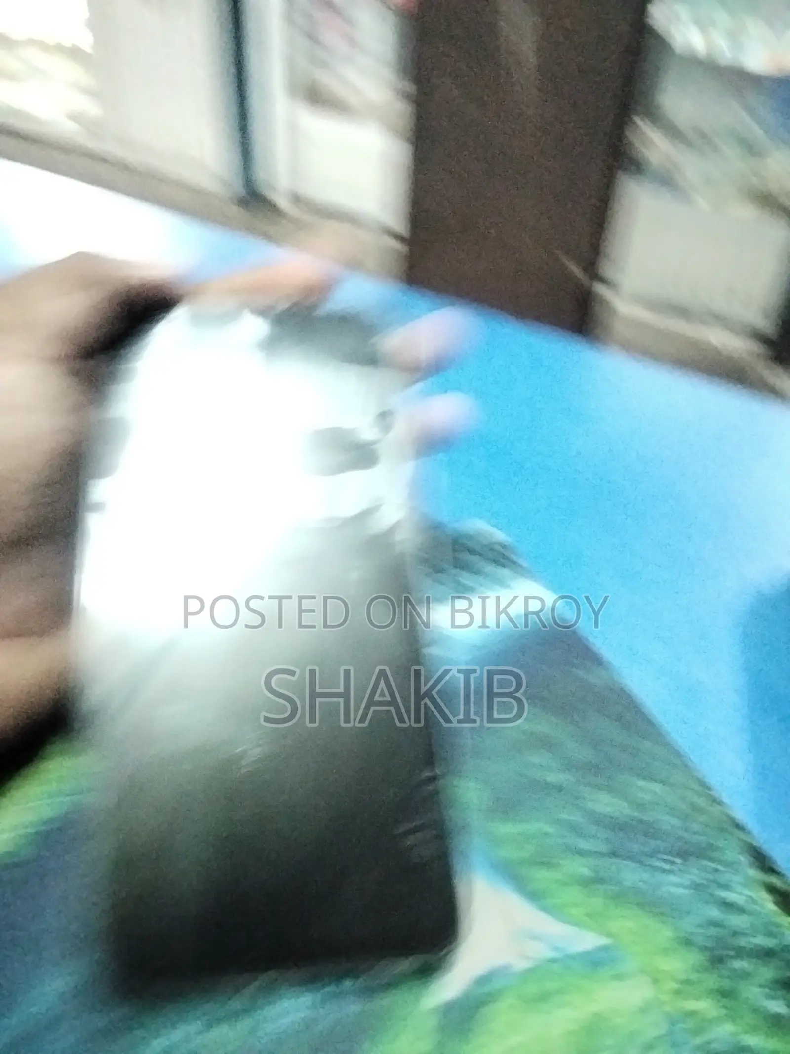 রিয়েলমি সি৩৩ ১২৮ জিবি