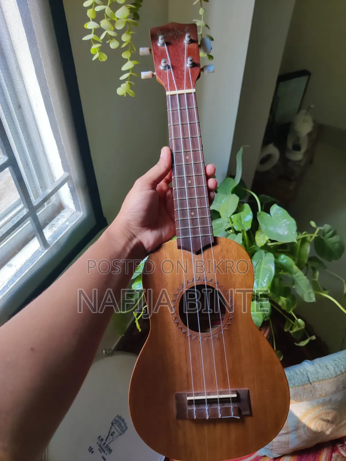 ইউকুলেলে গিটার