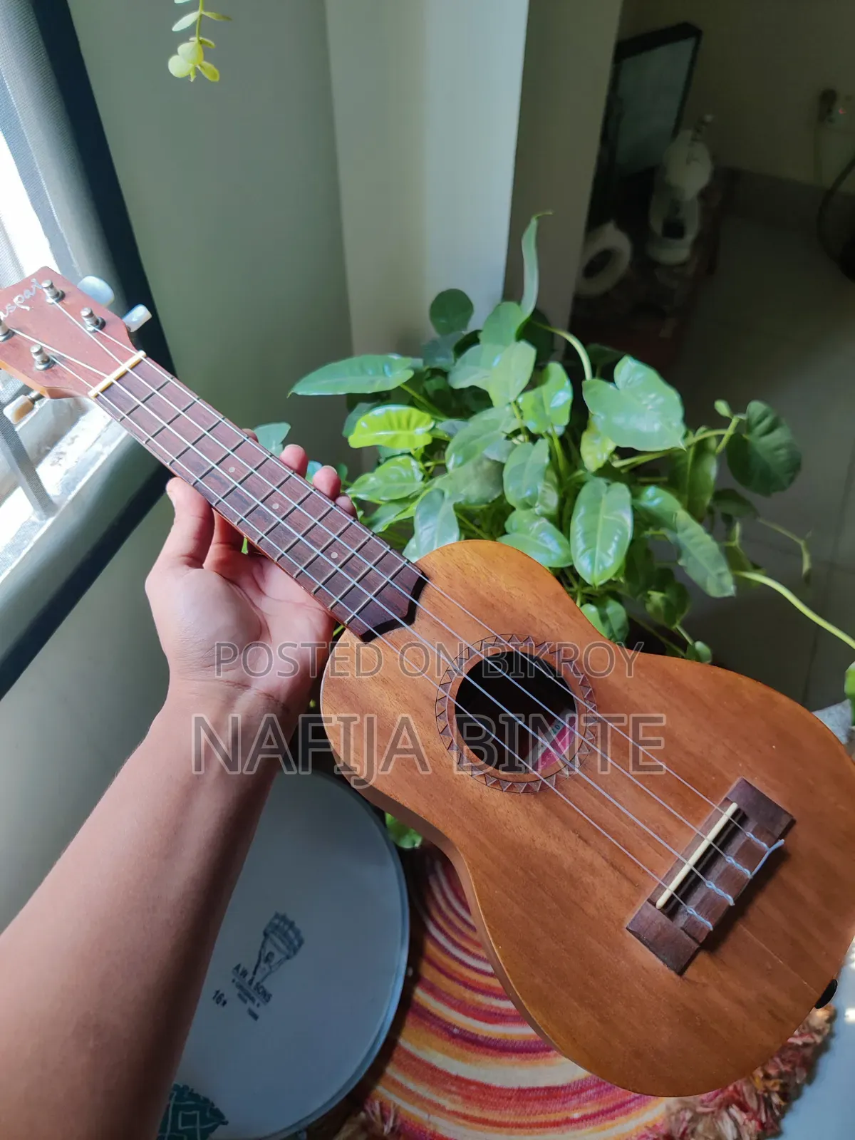 ইউকুলেলে গিটার