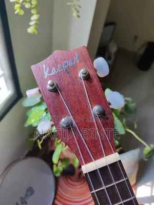 ইউকুলেলে গিটার