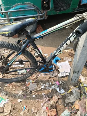 বাই সাইকেল