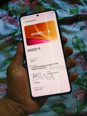 আইকিউওও ১১ ২৫৬ জিবি গ্রে