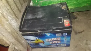 IPS Battery