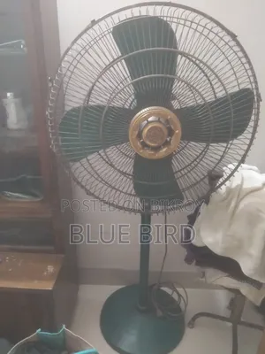 পাকিস্তানি ফ্যান