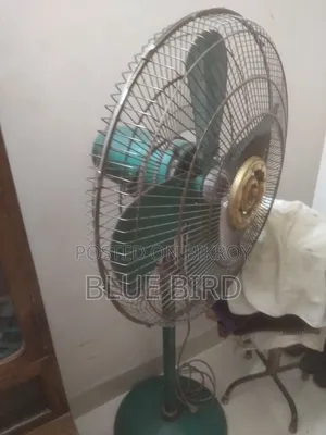 পাকিস্তানি ফ্যান