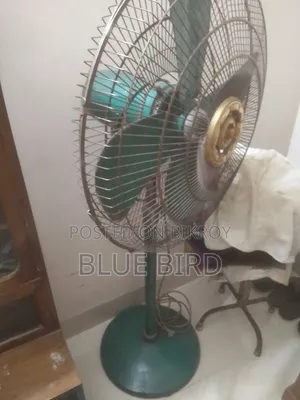 পাকিস্তানি ফ্যান