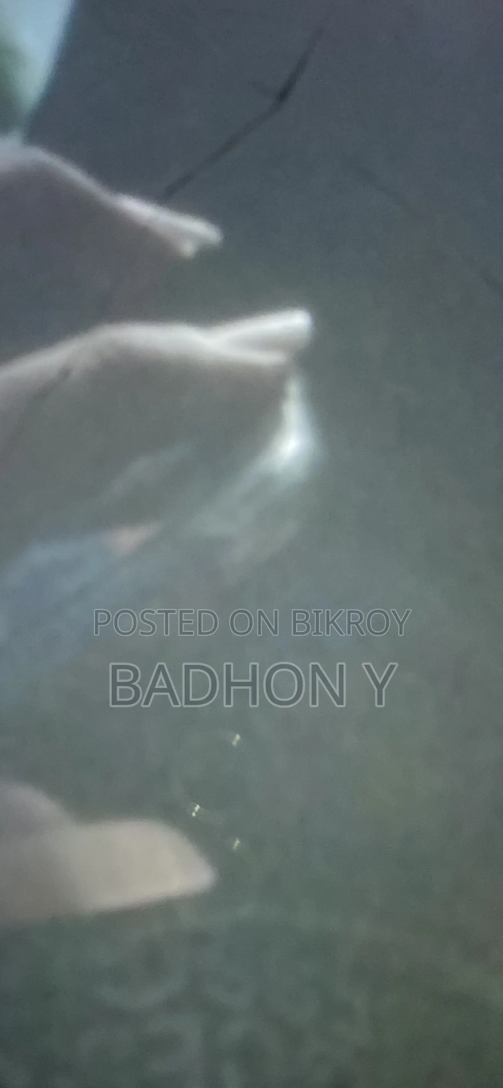 অ্যাপল আইফোন ১১ ৬৪ জিবি কালো