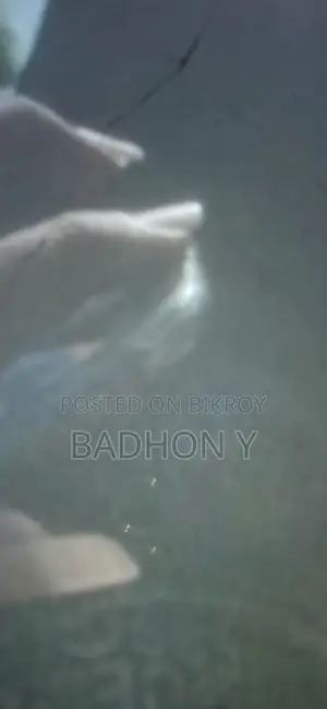 অ্যাপল আইফোন ১১ ৬৪ জিবি কালো