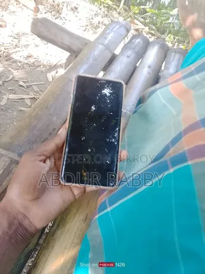 স্যামসাং গ্যালাক্সি এস১০ ৫জি ২৫৬ জিবি রোজ গোল্ড