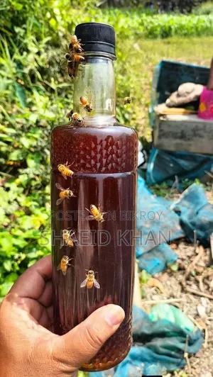 Sundarbans Honeycomb Honey