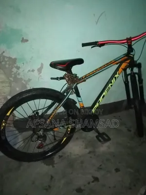 ফিনিক্স আর্গাস সাইকেল
