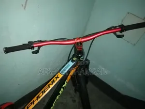 ফিনিক্স আর্গাস সাইকেল