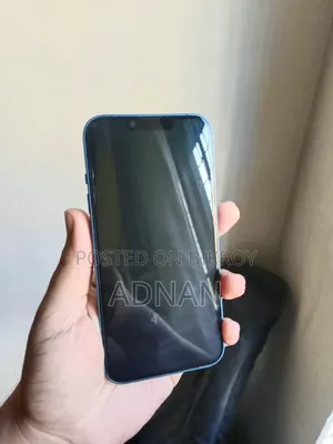 অ্যাপল আইফোন ১৩ ২৫৬ জিবি নীল