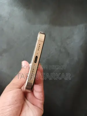 Apple iPhone 16 Pro Max 256 GB Gold