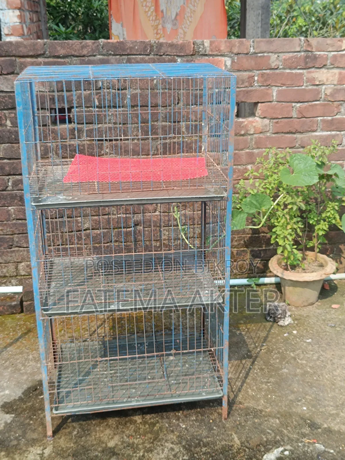 Three-Compartment Pigeon Cage for Sale