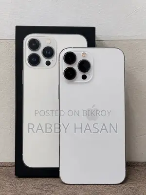 Apple iPhone 13 Pro Max 256 GB Silver