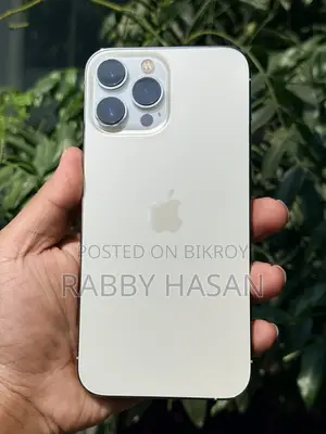 Apple iPhone 13 Pro Max 256 GB Silver