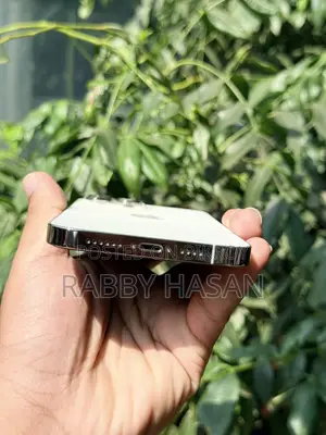 Apple iPhone 13 Pro Max 256 GB Silver