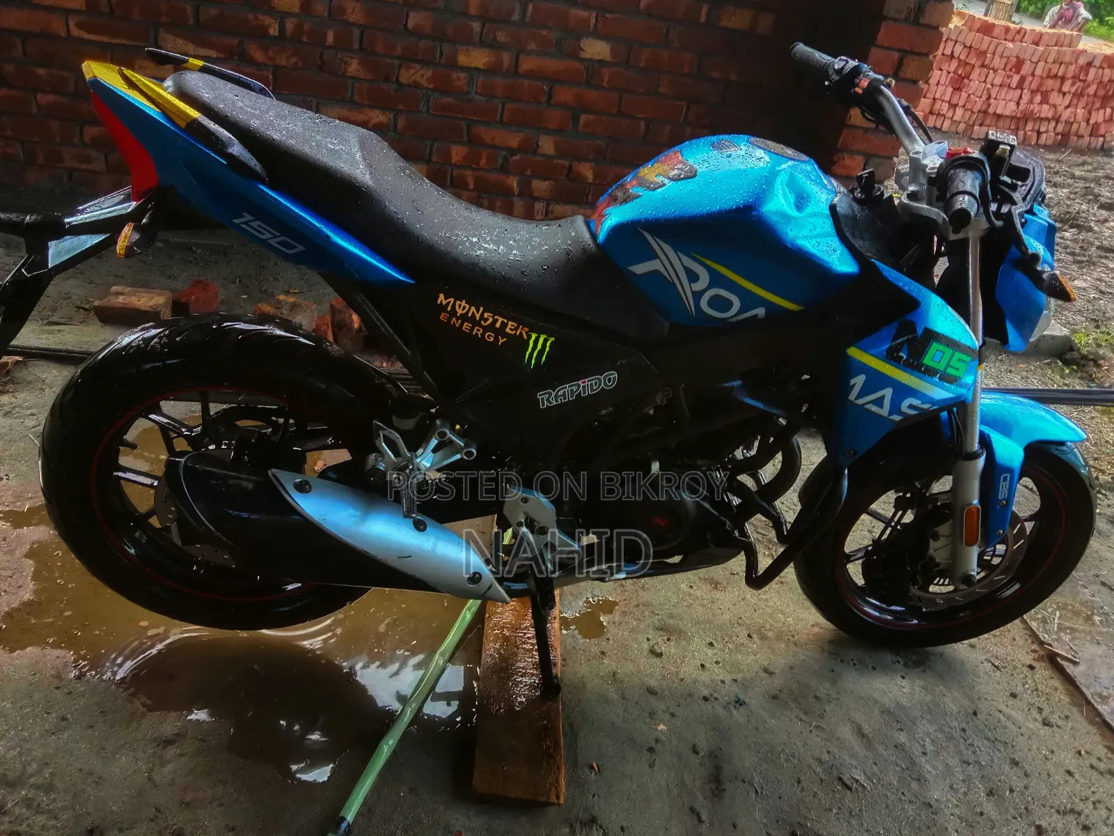 Roadmaster Rapido 165 2018 Blue