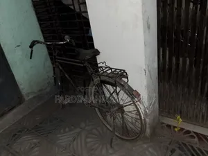 Phonix Cycle