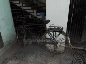 Phonix Cycle