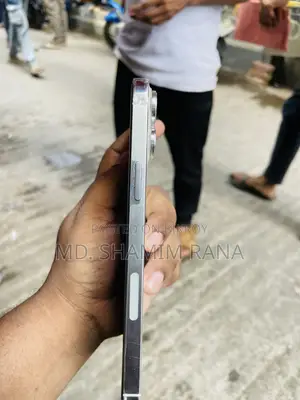 Apple iPhone 13 Pro Max 256 GB Silver