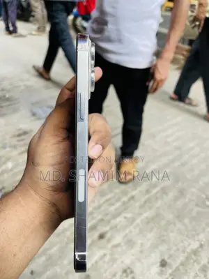 Apple iPhone 13 Pro Max 256 GB Silver