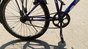 রেন্জার নীল ব্যবহৃত বাইসাইকেল