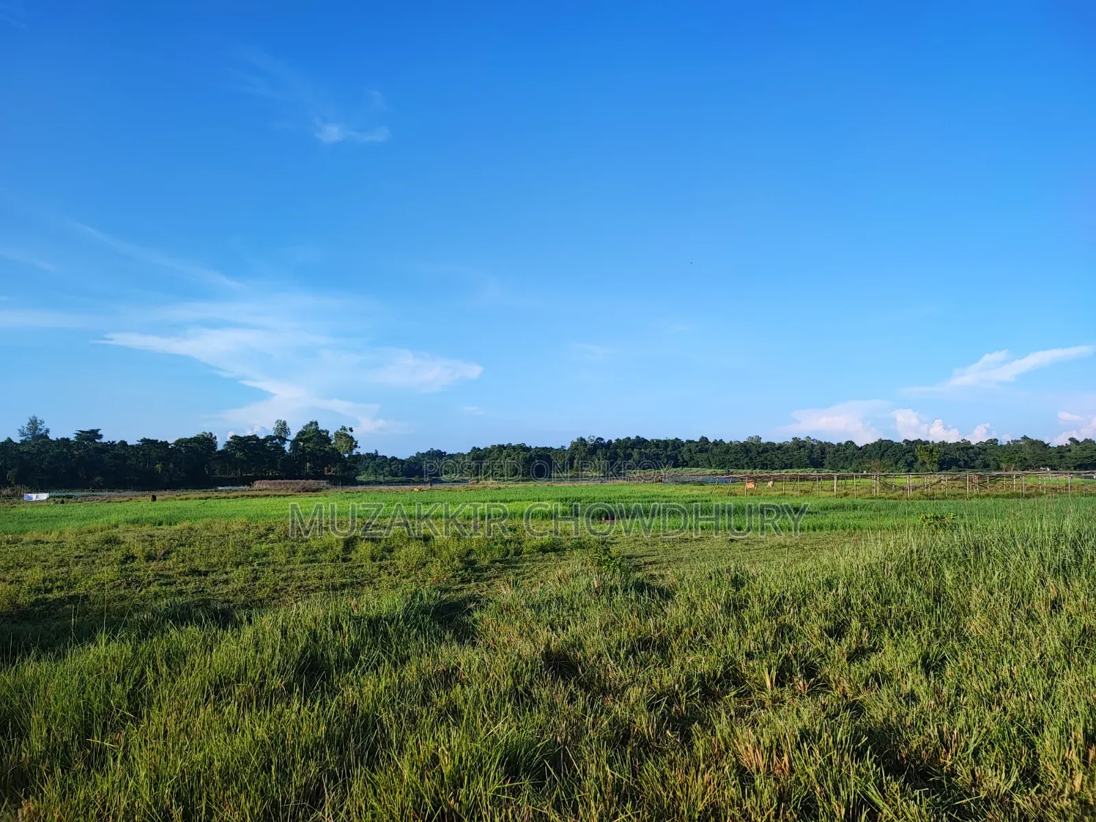 85 Kiar Land with Hill and Flat for Project or Resort Will Be Sold