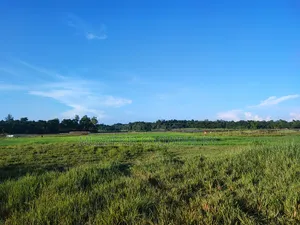 85 Kiar Land with Hill and Flat for Project or Resort Will Be Sold