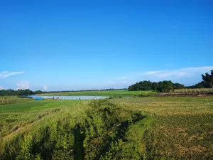85 Kiar Land with Hill and Flat for Project or Resort Will Be Sold