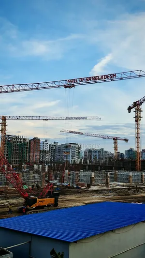 নিষ্কণ্টক জমির শেয়ার