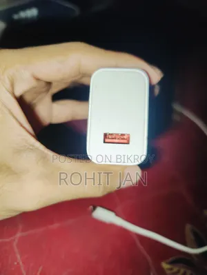শাওমি ৩৩ ডব্লিউ অরিজিনাল চার্জার